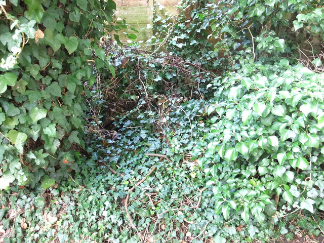 dscf7192.jpg